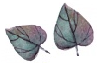 a2 (10).png