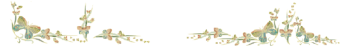 aa1 (6).png