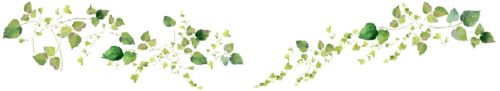 acc.png