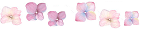 p (10).png