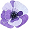 p (70).png